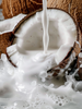 adopt RÊVE DE COCO 30ml Eau de Parfum Women's Fragrance | Coconut Cream, Almond Milk, White Musk, Sandalwood, Exotic Fragrance, Sensual Women's Fragrance, Freshness and Warmth, Made in France